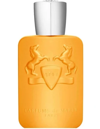 PERSEUS EDP 125ML